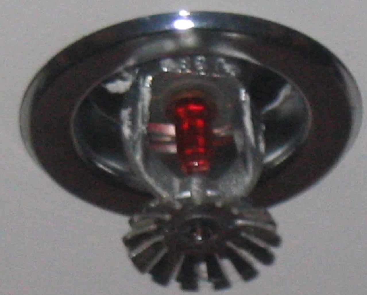 Fire Sprinkler Discharge Water Removal in Melbourne, IA